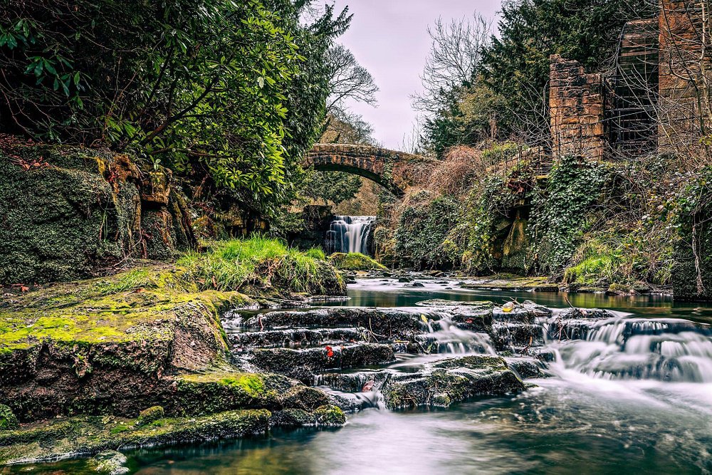 jesmond dene old mill
